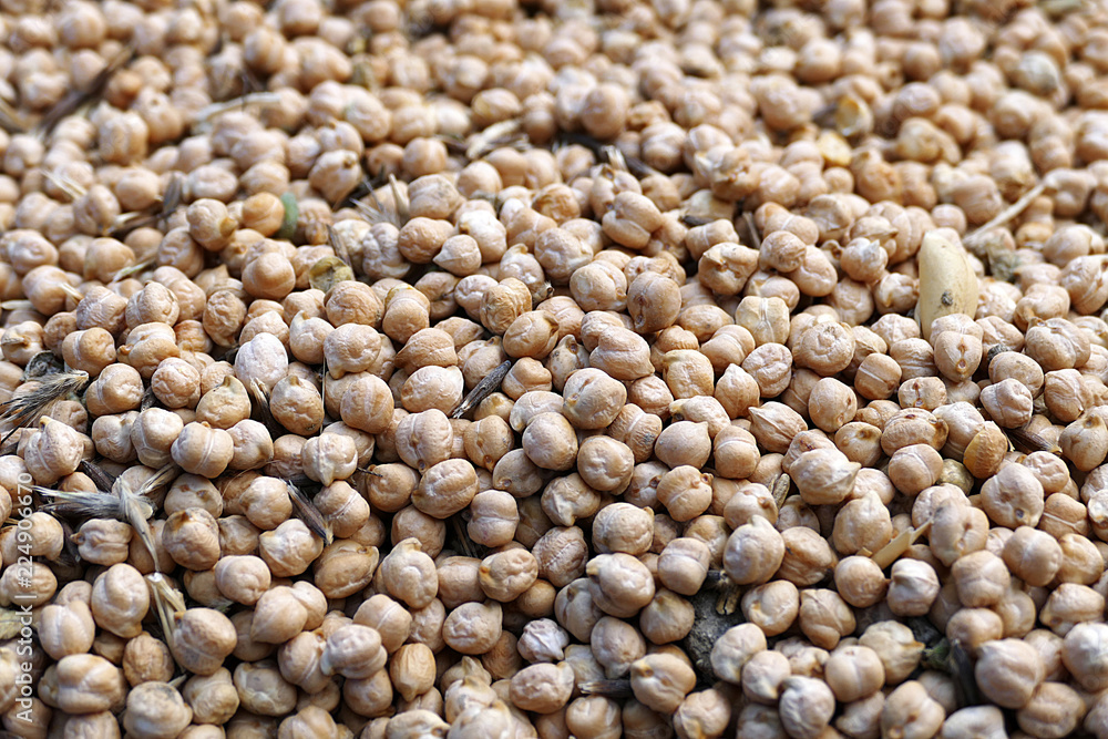 dry chickpeas for packaging.dry chickpeas for health, protein source chickpeas,close-up, lots of edible dry chickpeas,
dry chickpeas for packaging.dry chickpeas for health, protein source chickpeas,close-up, lots of edible dry chickpeas,