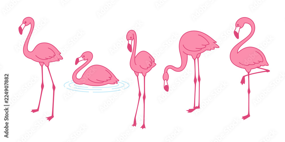 Fototapeta premium Cartoon pink flamingo vector set icon Cute flamingos collection Flamingo character animal exotic nature wild fauna illustration doodle