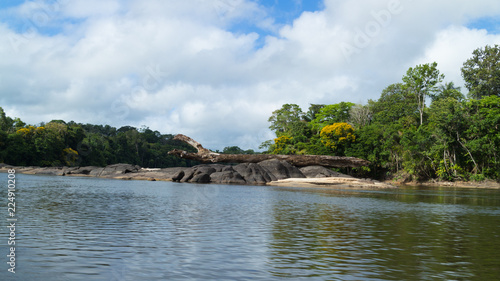 River in the amazon rainforest in Suriname (south America)