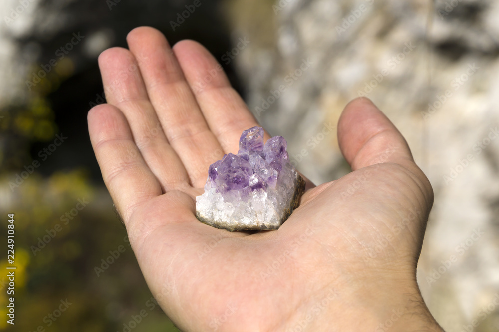 druse of natural untreated violet crystals of amethyst on a piece of rock lies on the palm of your hand