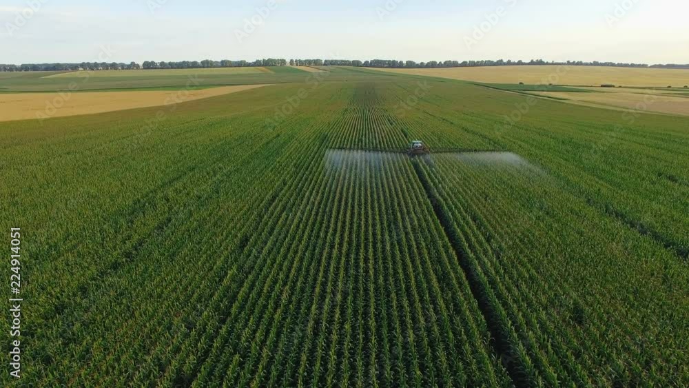 Aerial view of tractor spraying wheat field. 4K Aerial view of tractor spraying wheat field. 4K