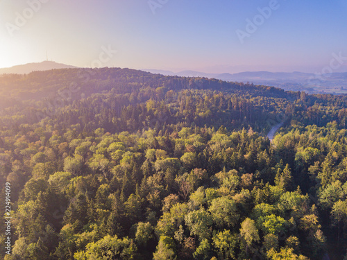 Aerial view of forest panorama in rural landscape