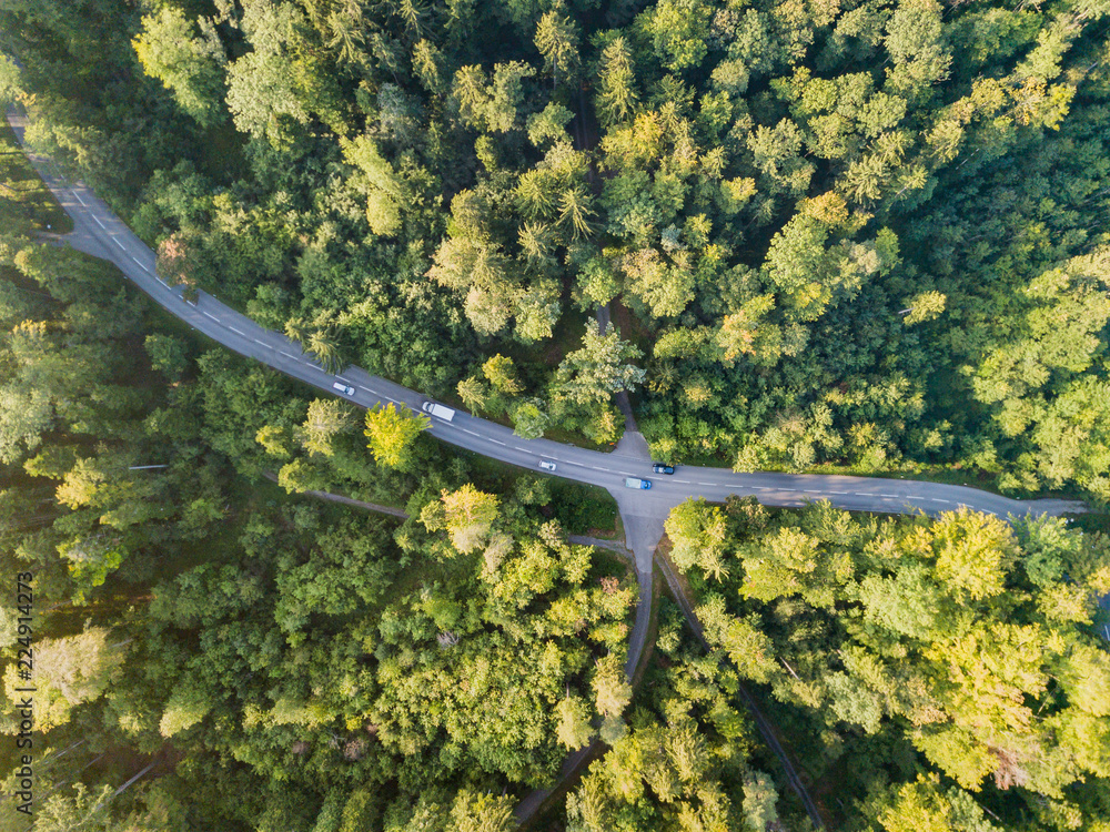 Aerial view of road through forest in Switzerland