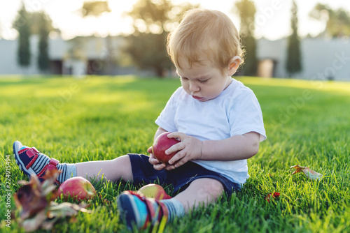 Cute baby playing with apples on a green lawn in nature on a Sunny day. Concept one-year-old child