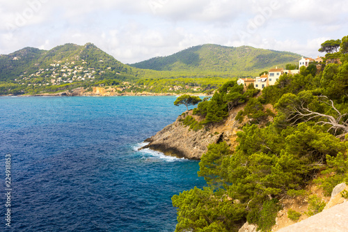 The blue sea surrounded with the mountains covered with the pine wood, the rocks which are going down to water, fancifully curved trunks of pines in the foreground.