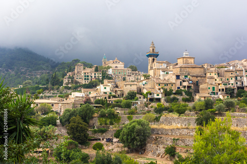 Mallorca Valdemossa typical landscape with mist