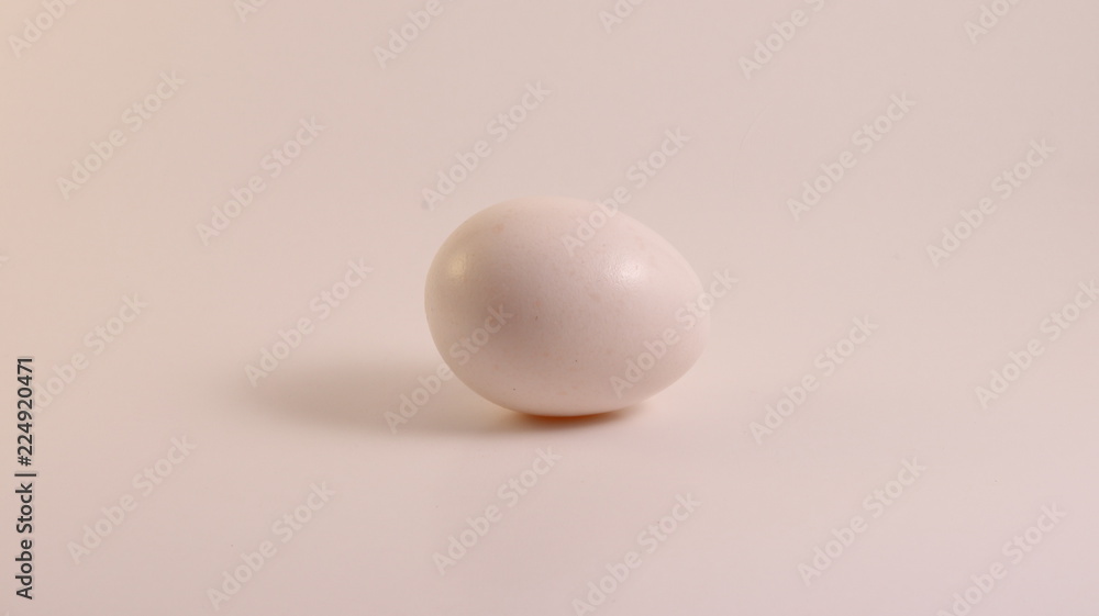 egg on white background egg on white background