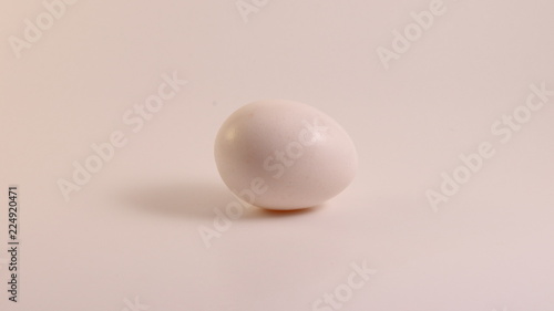 egg on white background