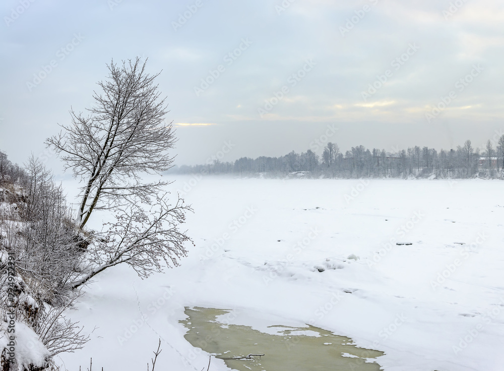 Snowy January morning in Nevsky forest Park. The Bank of the river.