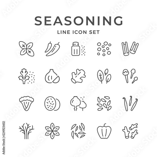 Set line icons of seasoning