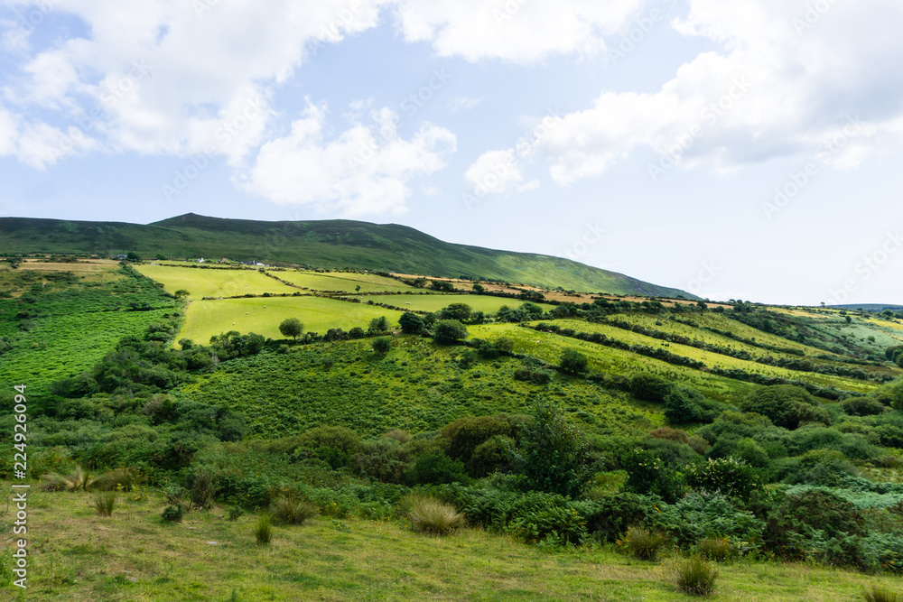 Landschaft in Irland bei Felder