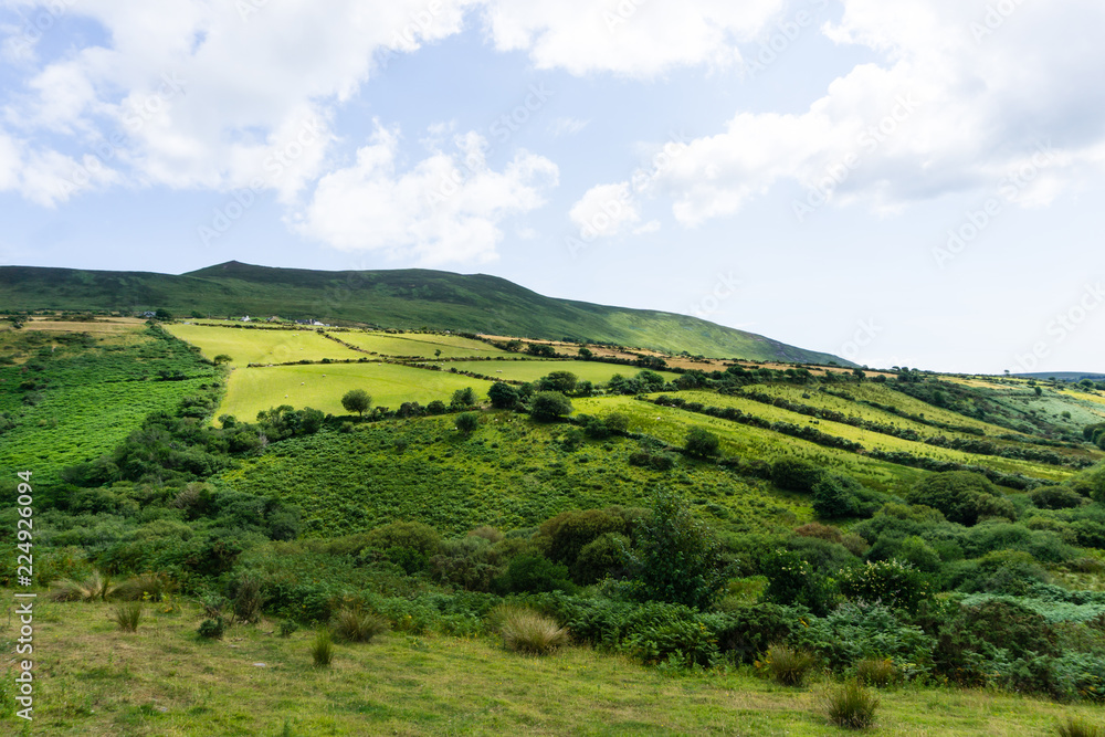 Obraz premium Landschaft in Irland bei Felder