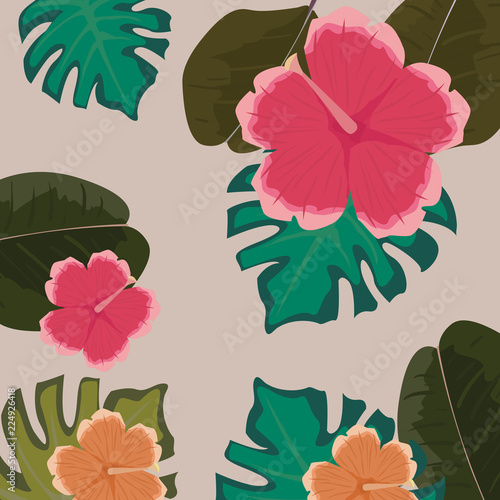 tropical flowers floral leaves monstera