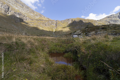 il colore rosso in un piccolo fiume di montagna