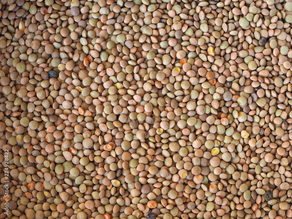 lentils pulse grain legume (Lens Culinaris) legumes vegetables background lentils pulse grain legume (Lens Culinaris) legumes vegetables background