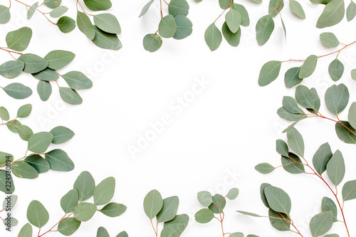 The workspace is decorated with green eucalyptus populus leaves on a white background. The apartment lay, top view. Floral frame. Frame of flowers.