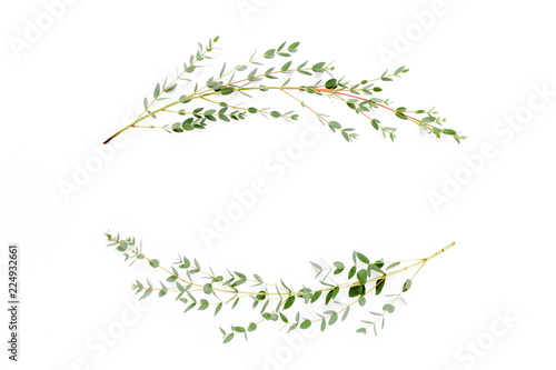 Wreath frame made of branches eucalyptus isolated on white background. lay flat, top view © K.Decor