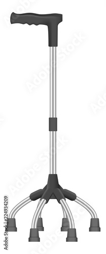 Quadruped walk stick icon. Realistic illustration of quadruped walk stick vector icon for web design isolated on white background