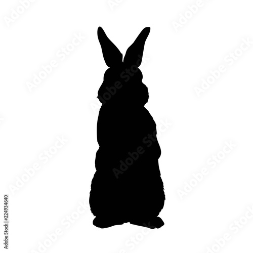 silhouette rabbit - vector illustration