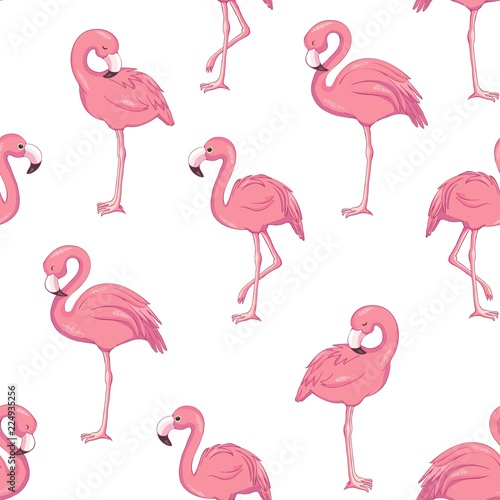Tropical flamingo pattern