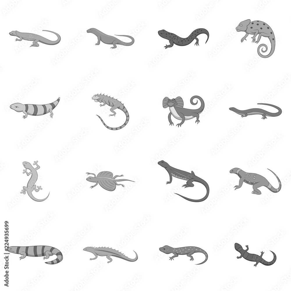 Lizard icons set in monochrome style isolated on white background Lizard icons set in monochrome style isolated on white background
