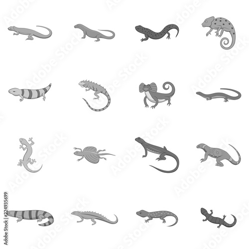 Lizard icons set in monochrome style isolated on white background