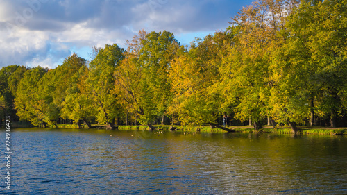 Line of autumn trees near the pond.