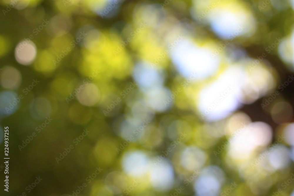 Blurred leaves on sky background