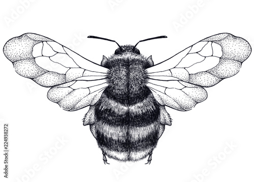 Bilde på lerret Bee tattoo