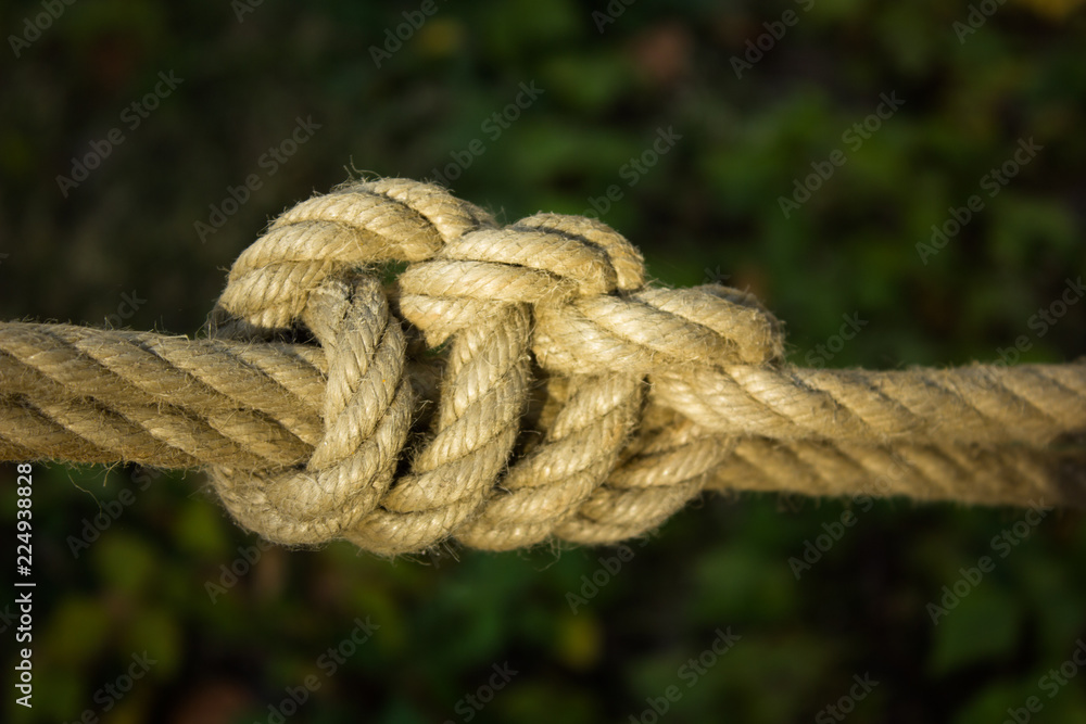 sea knots rope sea knots rope