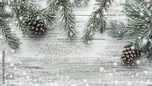 Wallpaper Mural Christmas theme with fir branches, cones, globes, on white wooden background viewed from above, in snow, greeting card with space for text Torontodigital.ca