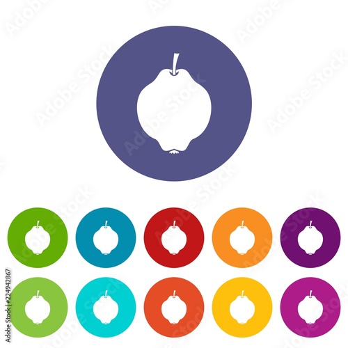 Quince fruit set icons in different colors isolated on white background