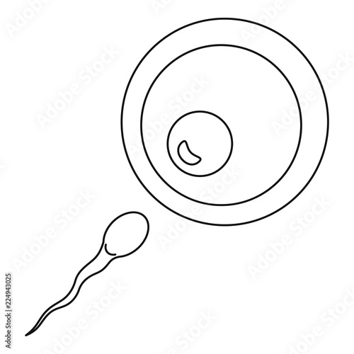 Artificial insemination icon. Outline illustration of artificial insemination vector icon for web