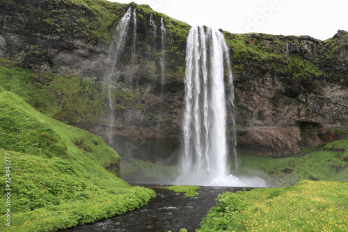 Fototapeta Naklejka Na Ścianę i Meble -  Seljalandsfoss waterfall of Iceland with beautiful green meadow and river in foreground.