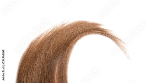 Lock of healthy brown hair on white background