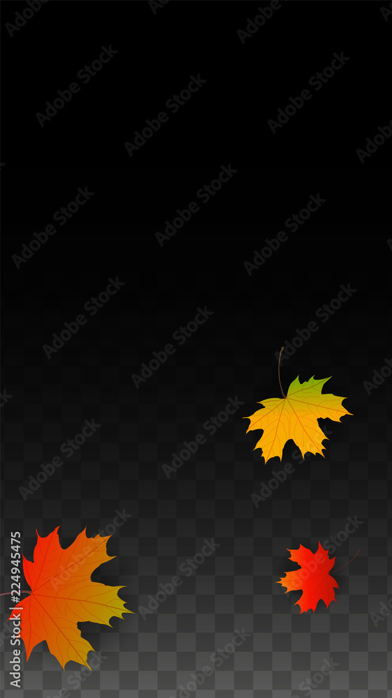 September Vector Background with Golden Falling Leaves. Autumn Illustration with Maple Red, Orange, Yellow Foliage. Isolated Leaf on Transparent Background. Bright Swirl. Suitable for Posters. September Vector Background with Golden Falling Leaves. Autumn Illustration with Maple Red, Orange, Yellow Foliage. Isolated Leaf on Transparent Background. Bright Swirl. Suitable for Posters.