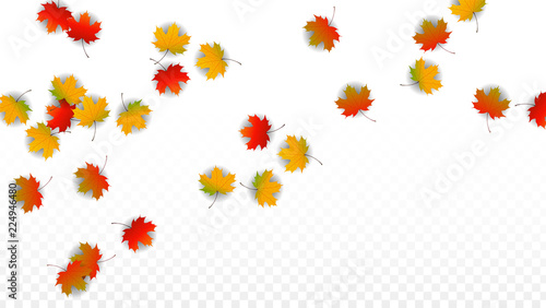 September Vector Background with Golden Falling Leaves. Autumn Illustration with Maple Red, Orange, Yellow Foliage. Isolated Leaf on Transparent Background. Bright Swirl. Suitable for Posters.