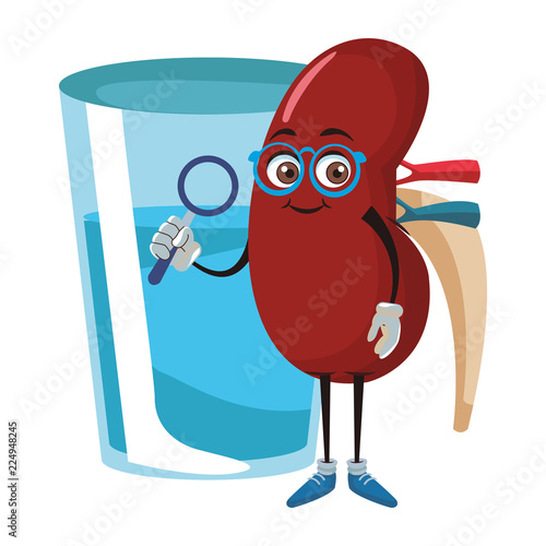Kidney funny cartoon