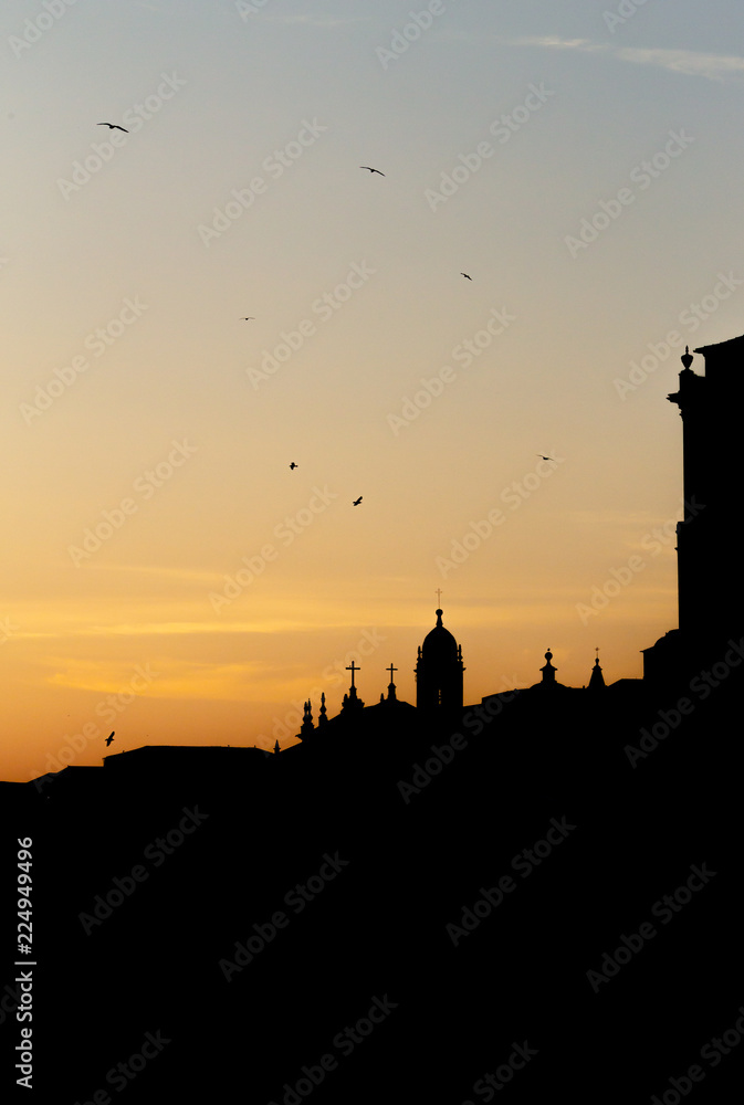 SIlhouetted Church with Seagulls Flying by in Porto