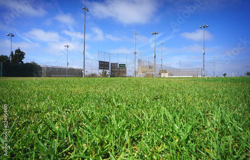 baseball field veiwed from outfiled grass