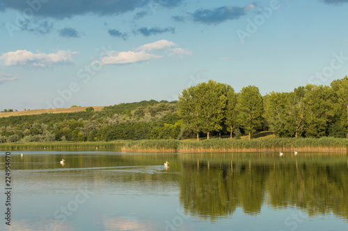 Beautiful panorama of the lake with pelicans © Mountains Hunter