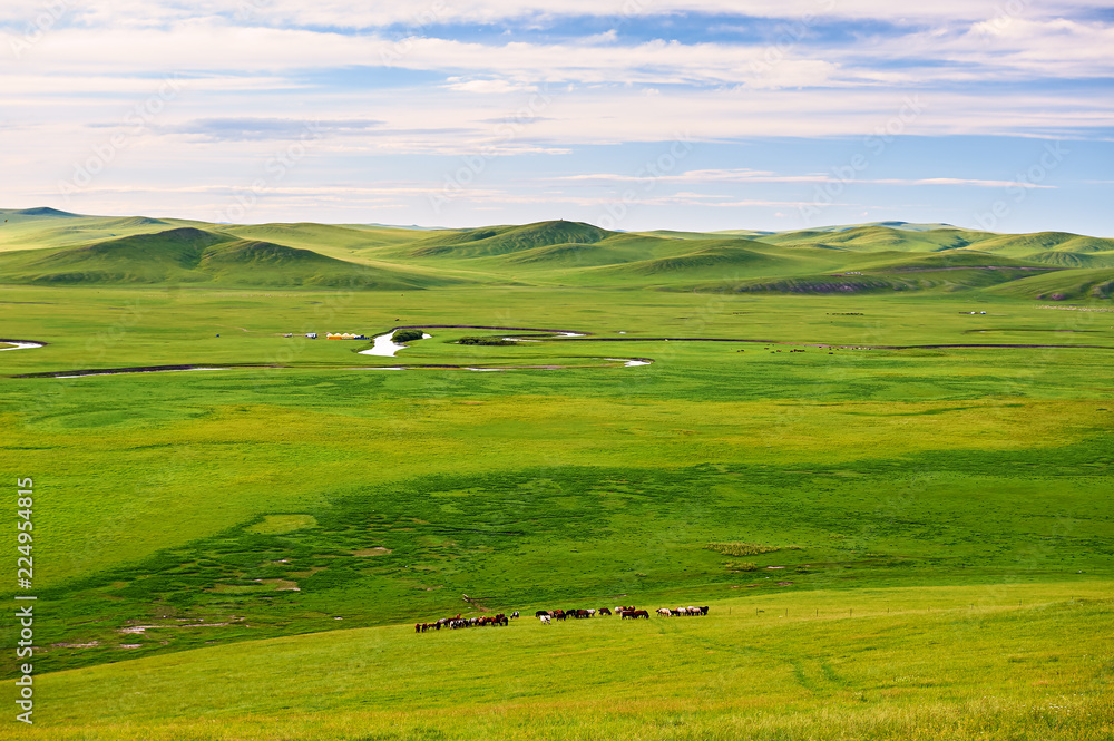 The Muzigler river valley of Hulunbuir grassland of China. The Muzigler river valley of Hulunbuir grassland of China.