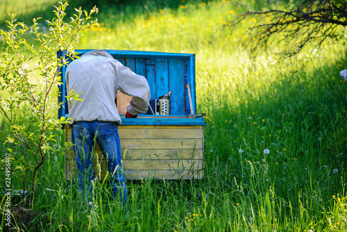 Apiary. The beekeeper works with bees near the hives. Apiculture photo