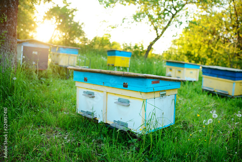 Polish landscape with beehives on ecological field