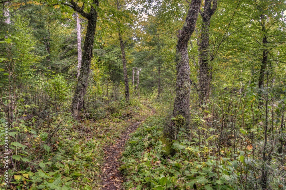 Obraz premium Isle Royale National Park is an Isolated Island in Lake Superior between Minnesota and Michigan