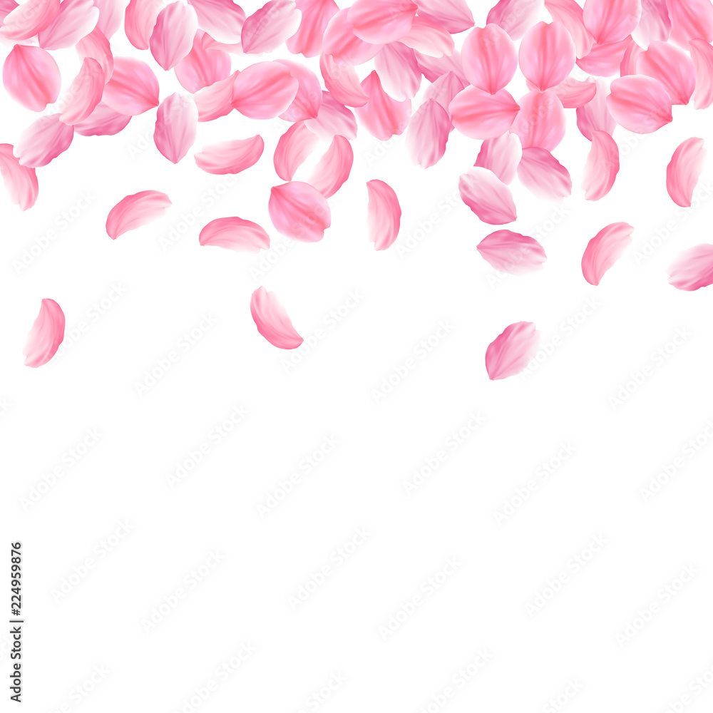 Sakura petals falling down. Romantic pink bright big flowers. Thick flying cherry petals. Scatter to