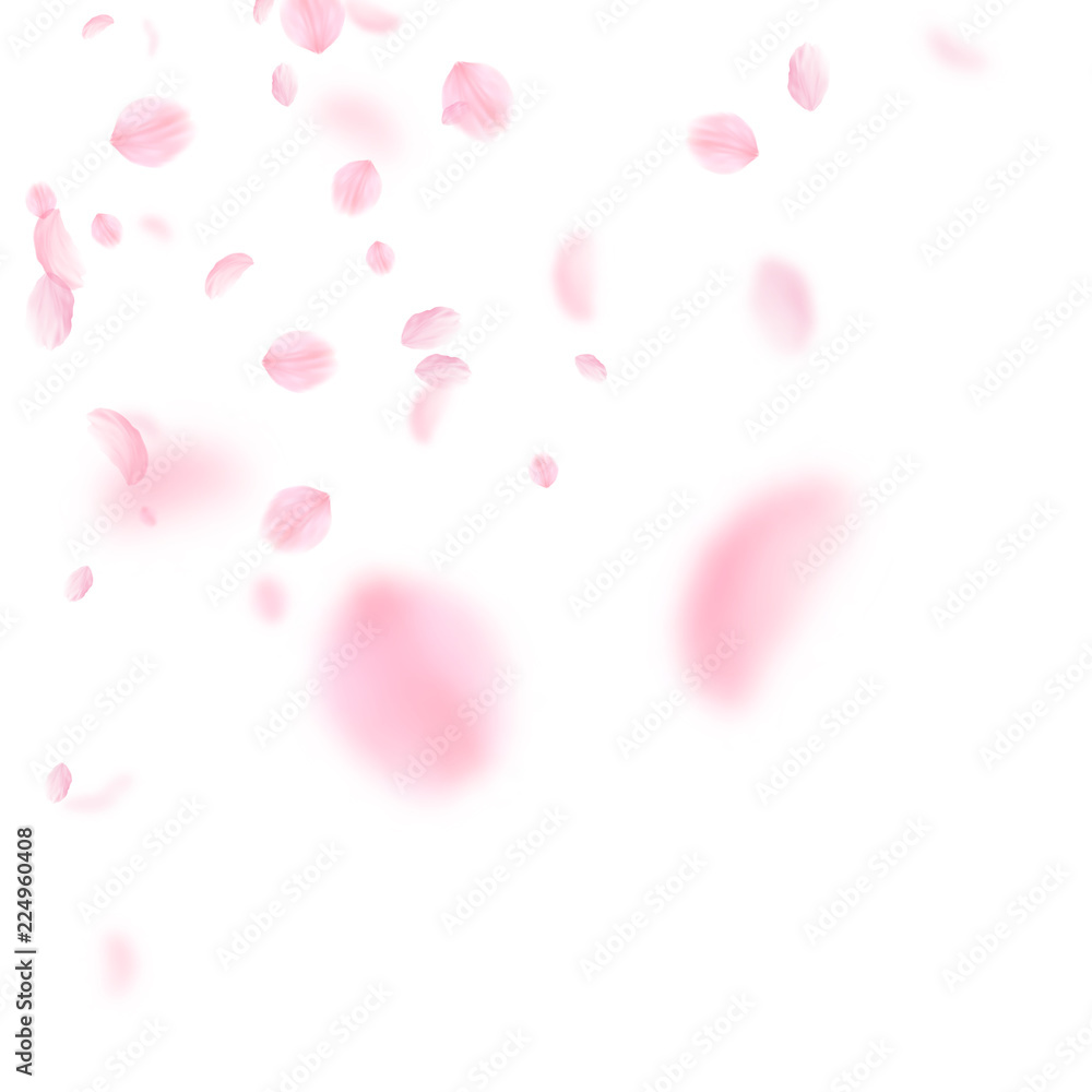 Sakura petals falling down. Romantic pink flowers corner. Flying petals on white square background. 