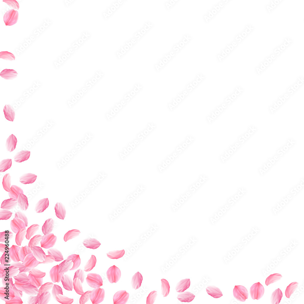 Sakura petals falling down. Romantic pink bright medium flowers. Thick flying cherry petals. Square 