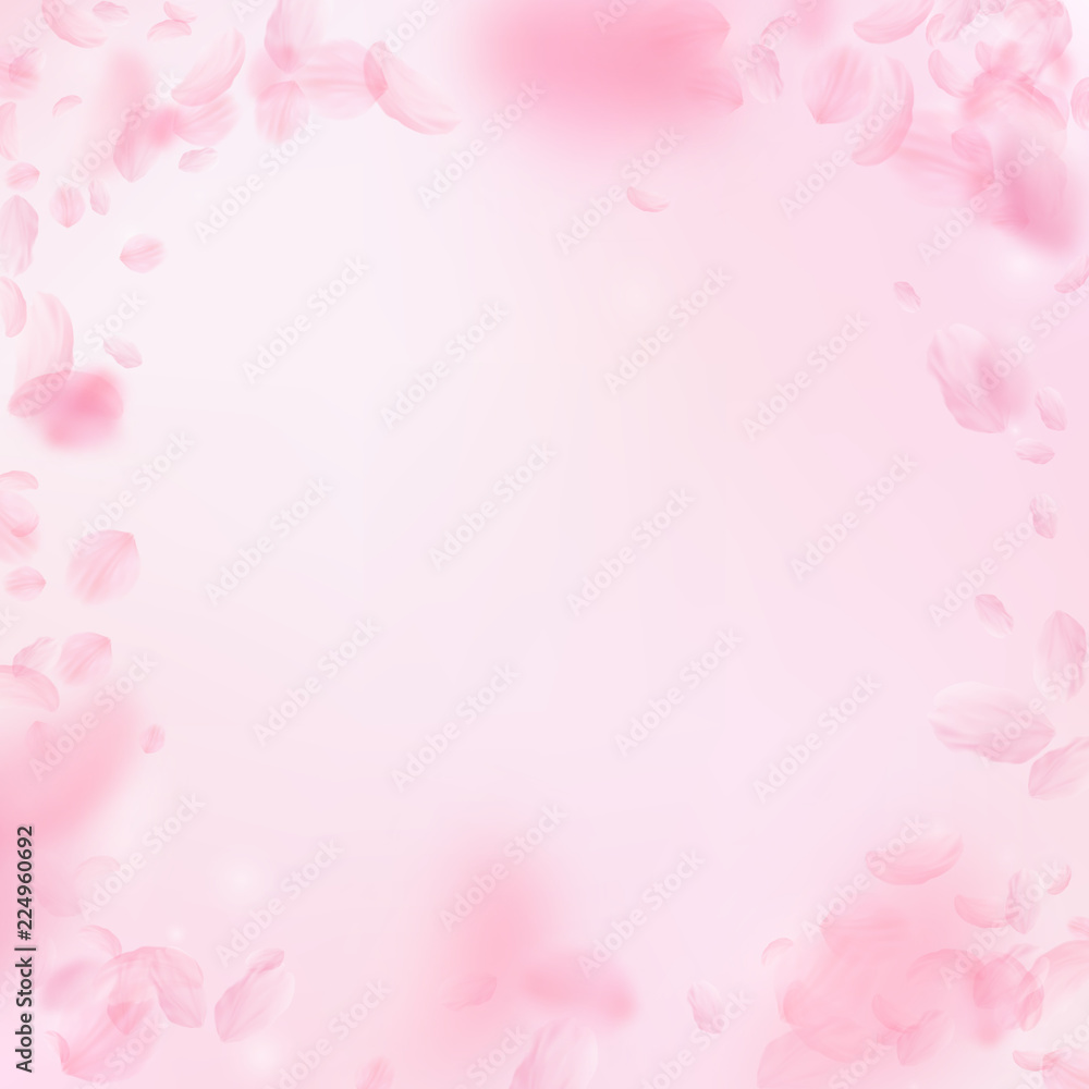 Fototapeta premium Sakura petals falling down. Romantic pink flowers vignette. Flying petals on pink square background.