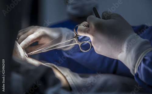 Schilderij op canvas surgical suture medicine